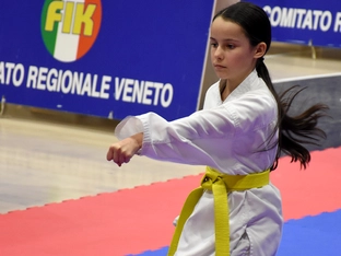 Karate Mühlbach schlägt zu