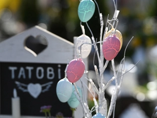 Selenskyj offen für Waffenruhe zu Ostern