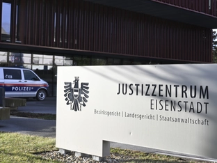 Schuss auf Frau: Bedingte Haft für 73-Jährigen in Eisenstadt