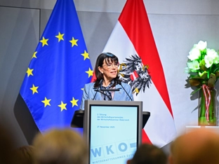 WKÖ-Schultz fordert EU-Lösungen für niedrigere Energiepreise