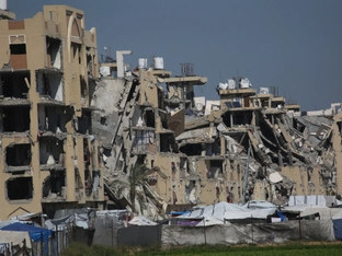 Israel tötet 16 Palästinenser im Westjordanland und Gaza