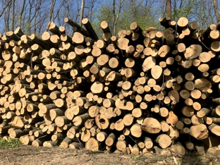 Holzzentralheizungen: 4,7 Millionen Euro an Fördermitteln ausgezahlt