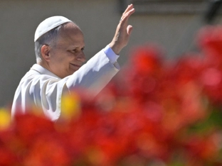 Papst reist am Montag für zehn Tage nach Afrika