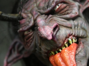 Prozess - Krampus verletzte Kinder in Salzburg schwer