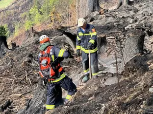 Erste Verdächtige wegen Waldbrand im Lesachtal befragt