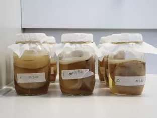 Apfeltrester neu gedacht