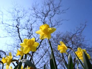 Zweitwärmster März in Europa seit Messbeginn