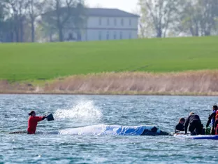 Tierschützer für Tötung des Buckelwals