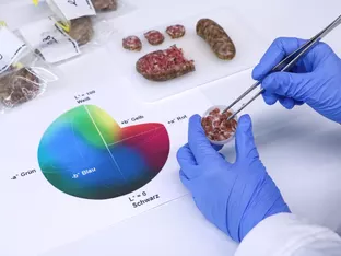 Landesprogramm für Forschung und Innovation 2026 gutgeheißen