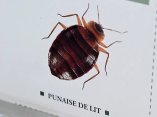 Prozess nach Tod von Hamburger Familie in Istanbul