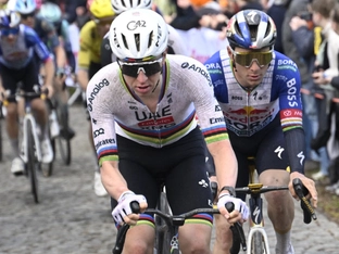 Radstar Pogacar droht der Führerschein-Entzug