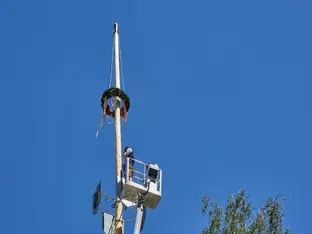 Wenn der Maibaum wieder am Dorfplatz steht