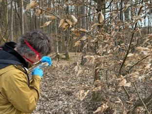 Asbest im Burgenland: Gutachten zu Steinbrüchen fertig
