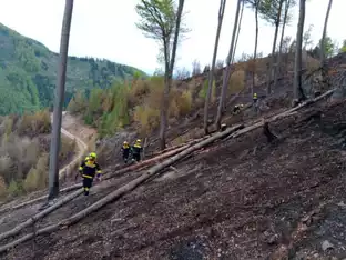 Waldbrand bei Graz - "Brand aus" weiterhin nicht in Sicht
