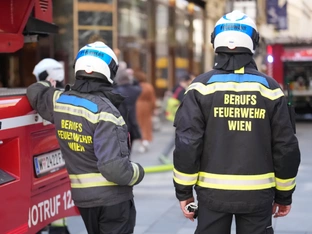 Teilbedingte Haft für weibliche "Feuerteufel 1040"-Bande