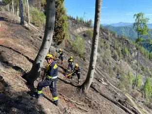 Waldbrand bei Graz - Schon 2.300 Einsatzkräfte halfen