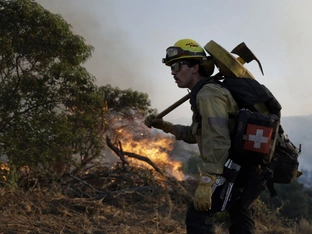 Neuer Brand in Kalifornien breitet sich rasant aus