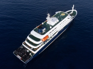 Hantavirus auf Schiff wohl von Mensch zu Mensch übertragen