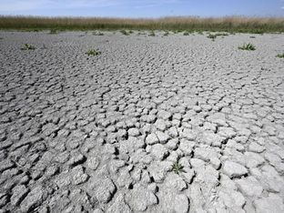 Plattform fordert echtes Klimagesetz für wirksamen Klimaschutz