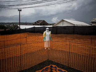 Erneuter Ebola-Ausbruch in der Demokratischen Republik Kongo