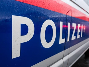 Verletzte bei Crash mit gestohlenem Pkw in Niederösterreich