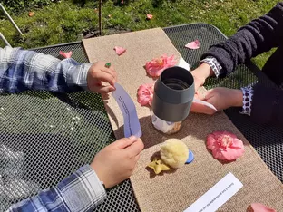 Interkulturelles Speed-Date im Caritas-Garten in Meran