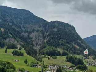 Arbeiten im Schutzwald Lausbühl zur Sicherheit der Bevölkerung