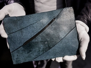 Auktion von Handtasche aus T-Rex-Hautzellen in Paris
