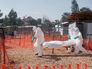 Weiterhin schnelle Ausbreitung von Ebola im Kongo