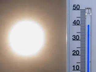 Erneut Temperaturrekord in Deutschland: 41,7 Grad gemessen