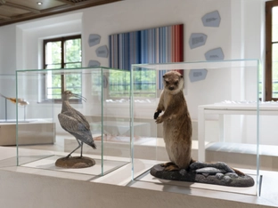 Tiroler Landesmuseen-Ausstellung zeigt flexible Natur