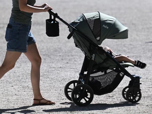 Österreichs Bevölkerung 2025 nur leicht gewachsen