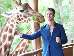 Begegnung auf Augenhöhe: Model Linus trifft Giraffe Linus