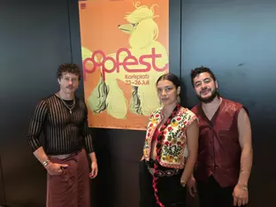 Popfest Wien mit Mendt, Buchegger und Pudel