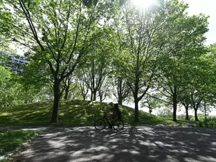 Burschen nach Angriff auf Ehepaar in Wiener Park gefasst