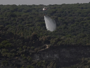 Zehntausende in Waldbrandgebieten um Madrid kehren zurück