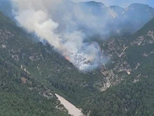 Löscharbeiten nach Waldbrand in Tirol dauerten an