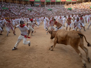 Verletzte bei zweiter Stierhatz in Pamplona