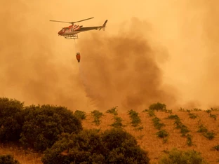 Zehntausende wegen Waldbränden in Südeuropa evakuiert
