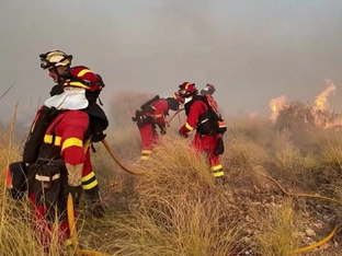 Elf Tote bei Waldbrand in Südspanien