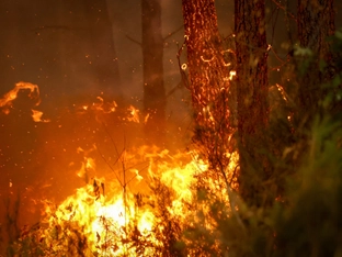 Leichter Optimismus bei Waldbränden in Südeuropa