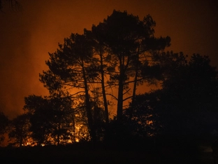 Paris bittet EU wegen Bränden um Hilfe