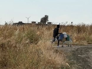 Haftstrafe für Landwirt in Italien nach Tod von Erntehelfer
