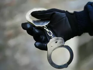 Serienbetrug durch vorgetäuschte Notlage in Wien