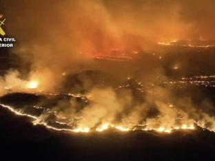 13.000 Hektar bei Waldbrand in Spanien zerstört