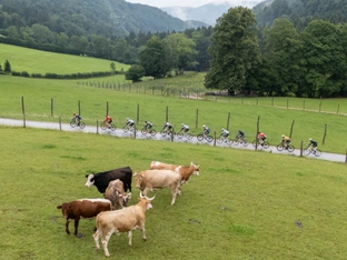Mühlberger startet überraschend bei Tour of Austria