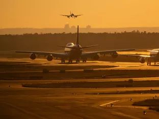 Vier Mitarbeiter am Frankfurter Airport an Malaria erkrankt