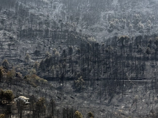 Weitere Waldbrände in Spanien und Frankreich ausgebrochen