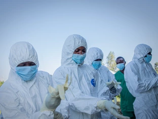 Uganda seit 42 Tagen ohne neuen Ebola-Fall, Anstieg im Kongo