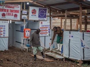 Schon mehr als 2.500 Ebola-Todesfälle im Kongo